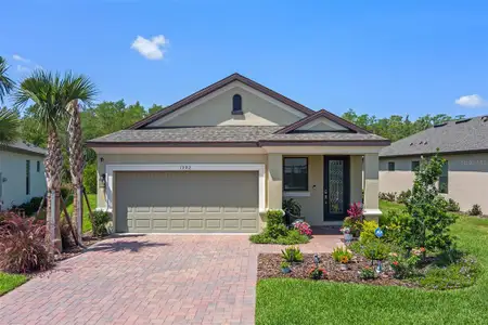 New construction Single-Family house 1392 Lombardi Ct, Kissimmee, FL 34759 null- photo 0