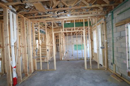 New construction Single-Family house 20252 Oriana Loop, Land O' Lakes, FL 34638 Coronado II- photo 60 60