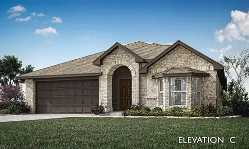 New construction Single-Family house 121 Winterwood Dr, Lavon, TX 75166 plan Camellia - image