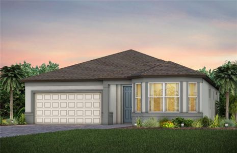 New construction Single-Family house 13808 Sunlight Meadow Dr, Riverview, FL 33578 Garnet- photo 0