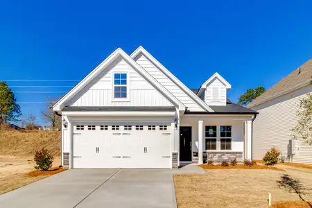 New construction Single-Family house 3631 Stedding Pl, Lexington, SC 29073 plan Brunswick - image
