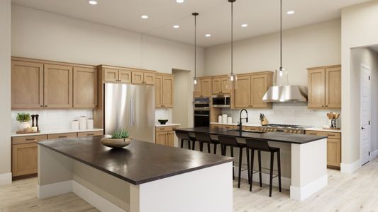 New construction Single-Family house Gold Canyon, AZ 85118 plan 1026 - image 6