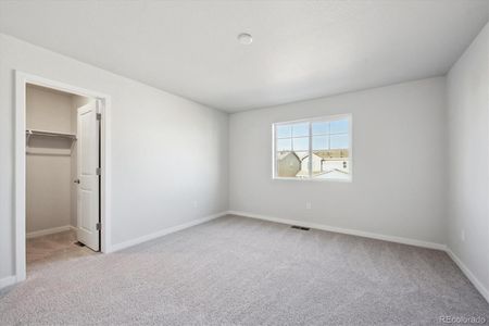 New construction Single-Family house 1322 Bloom St, Brighton, CO 80601 null- photo 27 27