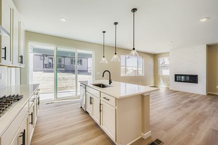 New construction Single-Family house 13755 Daffodil Wy, Parker, CO 80108 plan Conifer - image 10