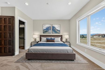 New construction Single-Family house 16864 Horizon Ridge Trl, Colorado Springs, CO 80908 - image 19