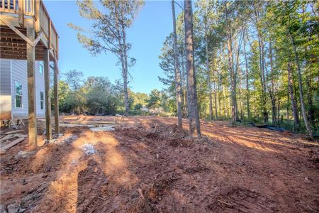 New construction Single-Family house 30 Daisy Lane, Villa Rica, GA 30180 - photo 70 70