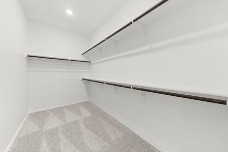 New construction Single-Family house 3691 Desperado Wy, Anna, TX 75409 plan Churchill - image 12
