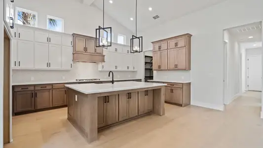 Star Farms At Lakewood Ranch 90' by Perry Homes in Lakewood Ranch - image 6