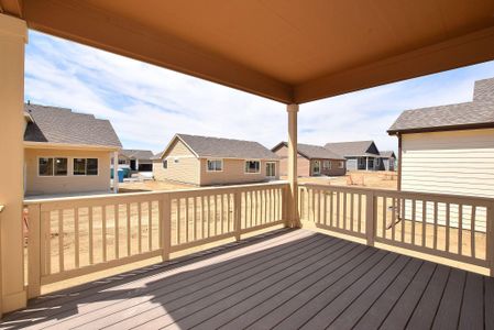 New construction Single-Family house 437 Vivid Ln, Windsor, CO 80550 null- photo 45 45