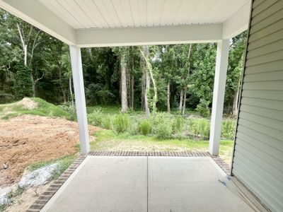 New construction Single-Family house 308 Creeks Edge Dr, Pikeville, NC 27863 - image