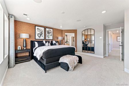 New construction Single-Family house 16968 Black Rose Pl, Parker, CO 80134 Roxborough- photo 30 30