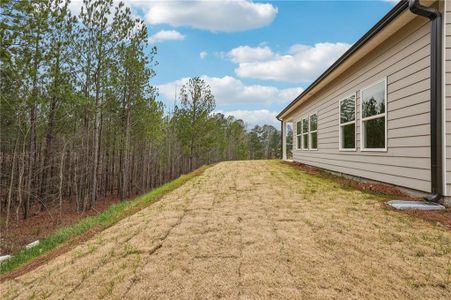 New construction Single-Family house 333 Ivey Township Dr, Dallas, GA 30132 null- photo 50 50