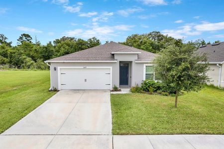 New construction Single-Family house 3629 Botanical Wy, Sanford, FL 32773 - image