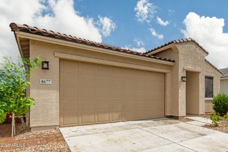 New construction Single-Family house 4677 S Siphon Draw Rd, Apache Junction, AZ 85119 - image