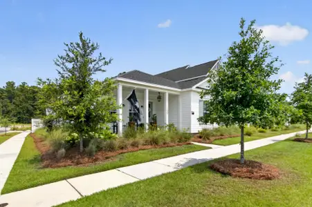 New construction Single-Family house 100 Crimson St, Summerville, SC 29486 - image
