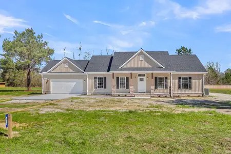 New construction Single-Family house 197 Dandelion Ct, Round O, SC 29474 - image