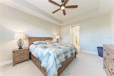 Shellstone at Waterside by Homes by Towne in Sarasota - photo 29 29