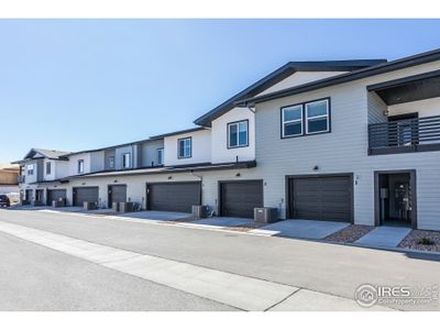 New construction Multi-Family house 2296 Setting Sun Dr, Unit 4, Windsor, CO 80550 Carnegie - photo 20 20