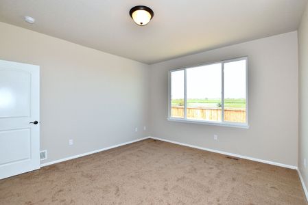 New construction Single-Family house 437 Vivid Ln, Windsor, CO 80550 null- photo 27 27