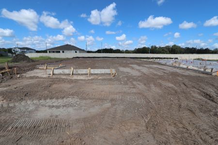 New construction Single-Family house 3087 Adams Cross Dr, Zephyrhills, FL 33540 Picasso Bonus- photo 3 3