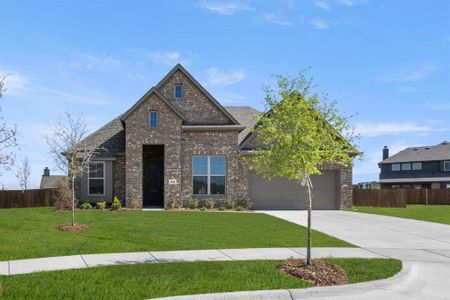 New construction Single-Family house 1808 Peace Lily Ln, Waxahachie, TX 75165 plan Denver - image