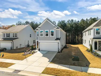 New construction Single-Family house 143 Steel Springs Ln, Angier, NC 27501 - image