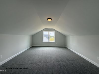 New construction Single-Family house 114 Cinnabar St, Clayton, NC 27527 - image 9