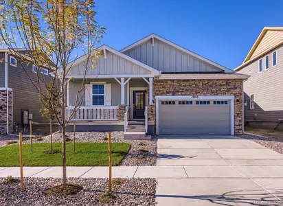 New construction Single-Family house 13763 Daffodil Wy, Parker, CO 80134 - image