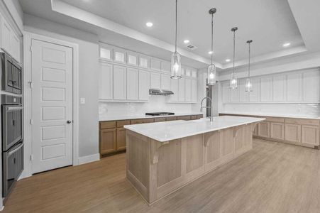 Representative Kitchen - some options shown