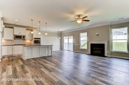 New construction Single-Family house 4013 Grace Pointe Dr, Unit 102, Wesley Chapel, NC 28079 null- photo 5 5