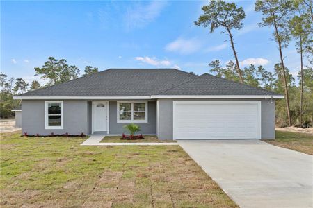 New construction Single-Family house 4386 Sw 169Th Lane Rd, Ocala, FL 34473 - photo 0