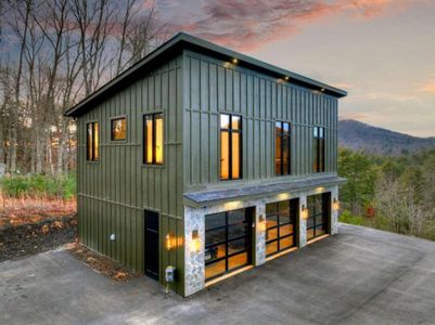 New construction Single-Family house 156 Coles Crossing Rd, Mineral Bluff, GA 30559 - image