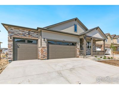 New construction Single-Family house 4319 Gypsum Ave, Mead, CO 80504 plan CHATHAM - image