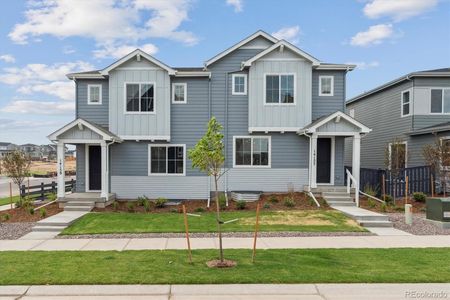 New construction Duplex house 14159 Deertrack Ln, Parker, CO 80134 plan Blue Spruce - image