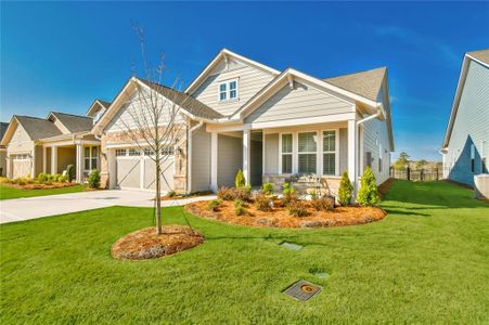 New construction Single-Family house 284 Pecks Ct, Hoschton, GA 30548 - image