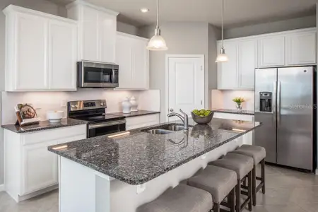 New construction Single-Family house 2578 White Ladyfish Rd, Wimauma, FL 33598 plan Panama - image 2