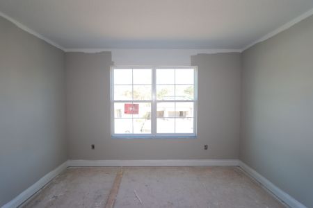 New construction Single-Family house 20264 Oriana Loop, Land O' Lakes, FL 34638 Santa Monica- photo 109 109