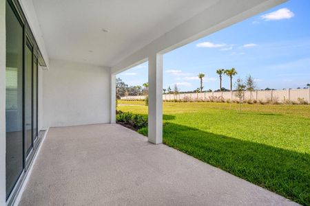 New construction Single-Family house 1979 Longliner Loop, Wesley Chapel, FL 33543 Barbados- photo 22 22