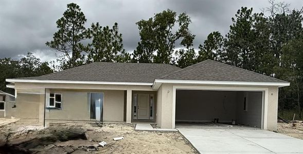 New construction Single-Family house Citrus Springs, FL 34434 - image