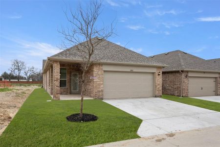 New construction Single-Family house 2821 Livestock Dr, Midlothian, TX 76065 Sonata- photo 25 25