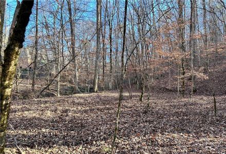 New construction Single-Family house 8555 Woodland Brooke Trl, Cumming, GA 30028 - image