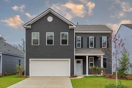 New construction Single-Family house 160 Grouper Ln, Summerville, SC 29483 - image