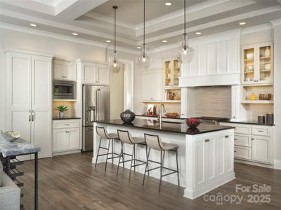 New construction Single-Family house 142 Elkton Ct, Mill Spring, NC 28756 - image 5