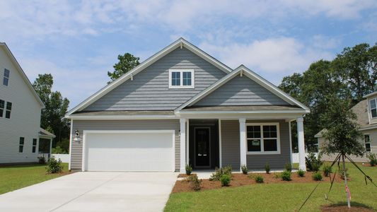 New construction Single-Family house 104 Fair Meadow Ct, Loris, SC 29569 plan LITCHFIELD - image