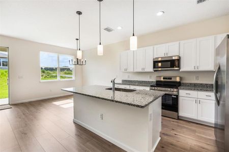 Grand Isle by Summerpark Homes in Eustis - image 9