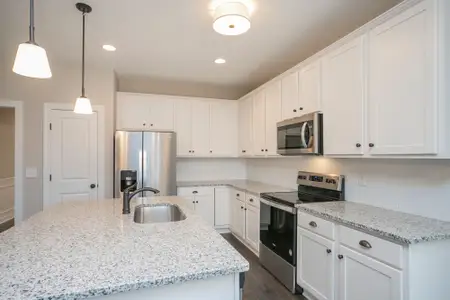 New construction Single-Family house 20 Shore Pine Dr, Youngsville, NC 27596 plan The Madison - image 6