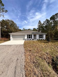 New construction Single-Family house 9610 Mcmahon Ave, Hastings, FL 32145 - image