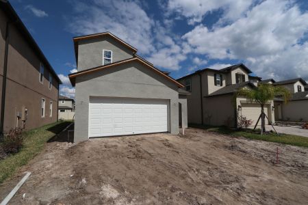 New construction Single-Family house 2601 Sunny Pebble Loop, Zephyrhills, FL 33540 Miralles- photo 47 47