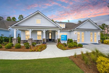 New construction Single-Family house 2337 Bay Strip Dr, Charleston, SC 29492 plan Renown - image