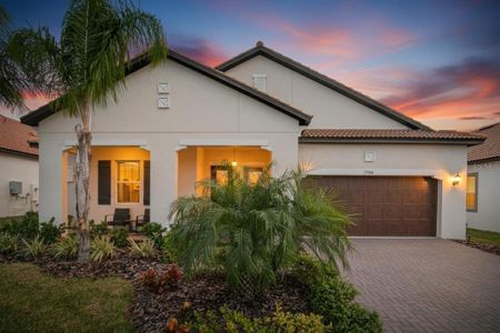 New construction Single-Family house 17316 Scuba Crest St, Wimauma, FL 33598 plan Argent II - image